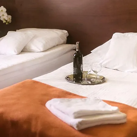 Vinci Airport Modlniczka